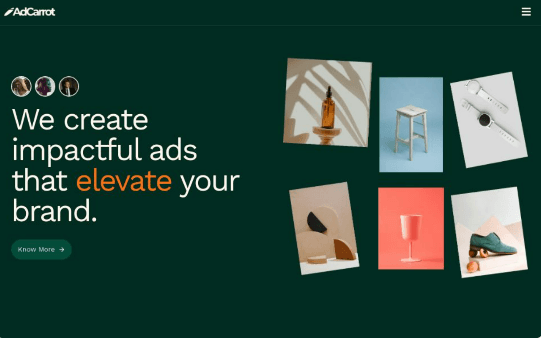 Screenshot of Advertising Website